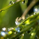 후회 없는 아름다운 삶